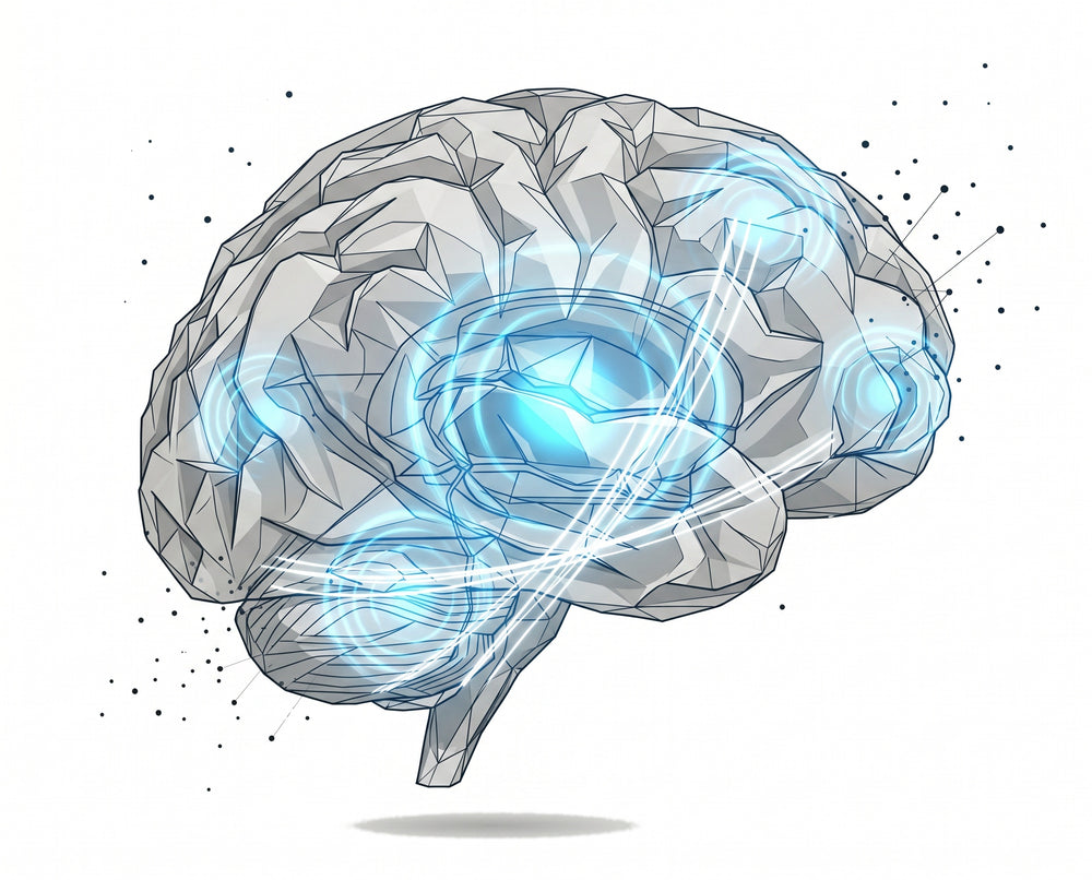 The Brain Fog Between Pouches Isn't You. It's the Nicotine Rollercoaster